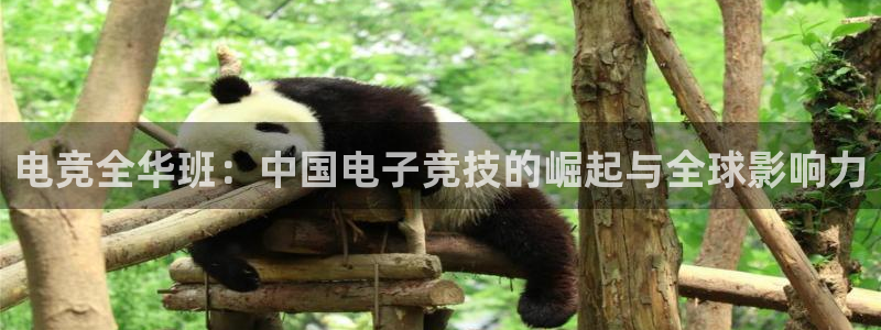 成都乐竞电竞青训基地：电竞全华班：中国电子竞技的崛起与全球影响力