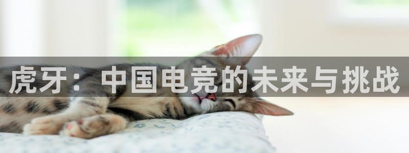 乐竞电竞：虎牙：中国电竞的未来与挑战