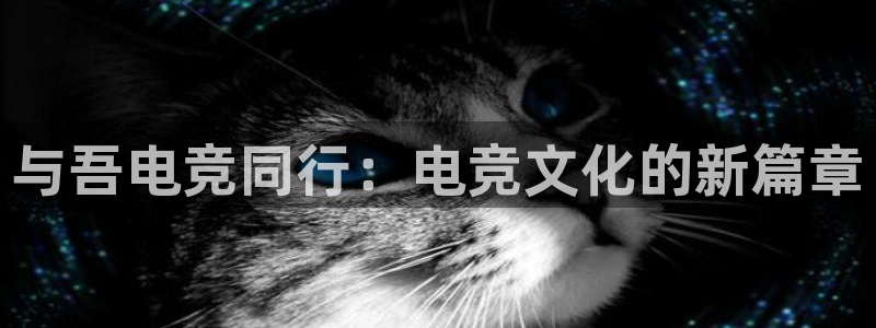 乐竞电竞平台：与吾电竞同行：电竞文化的新篇章