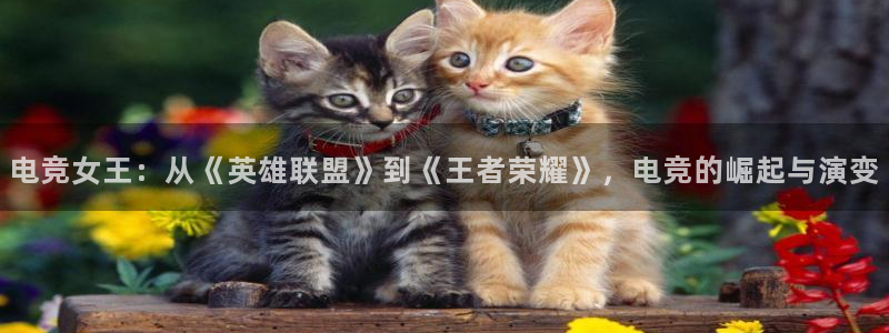 乐竞电竞青训基地：电竞女王：从《英雄联盟》到《王者荣耀》，电竞的崛起与演变