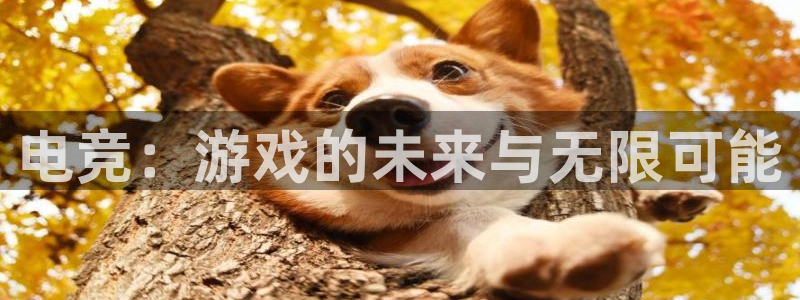 乐竞电竞实训中心收费标准：电竞：游戏的未来与无限可能