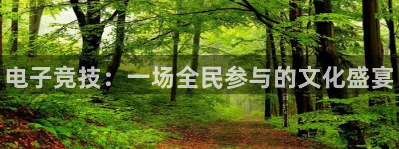 乐竞电竞app：电子竞技：一场全民参与的文化盛宴