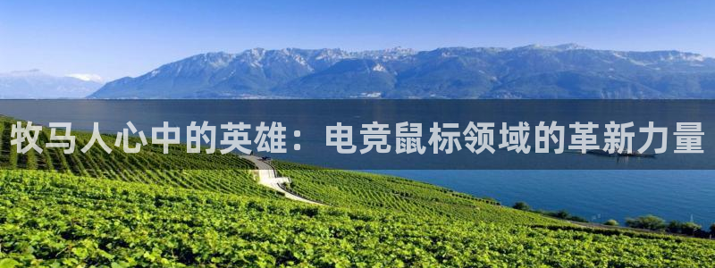 乐竞电竞平台：牧马人心中的英雄：电竞鼠标领域的革新力量