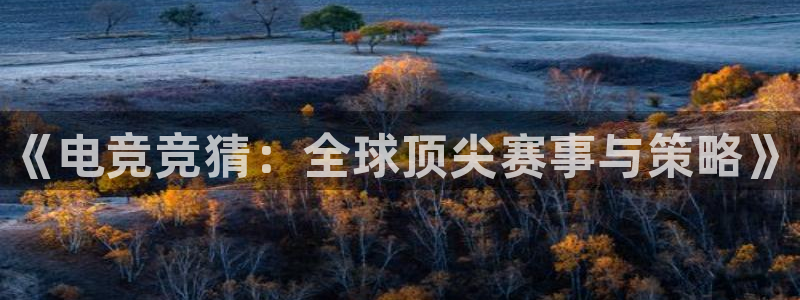 乐竞电竞：《电竞竞猜：全球顶尖赛事与策略》