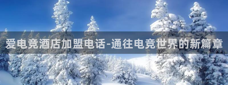 乐竞电竞：爱电竞酒店加盟电话-通往电竞世界的新篇章