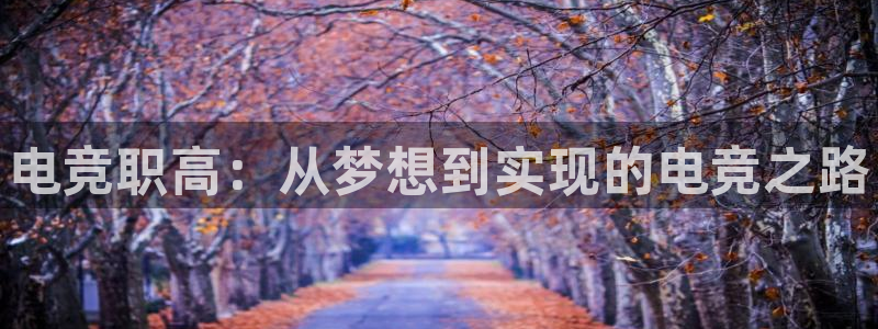 乐竞电竞官网：电竞职高：从梦想到实现的电竞之路