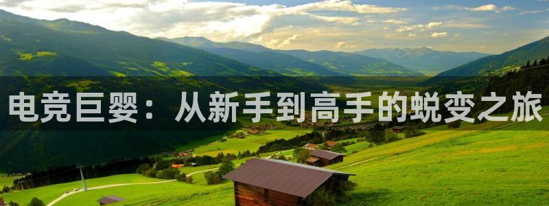 乐竞电竞锁定金额：电竞巨婴：从新手到高手的蜕变之旅