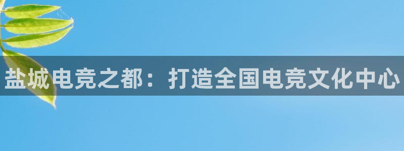 成都乐竞电竞青训基地：盐城电竞之都：打造全国电竞文化中心