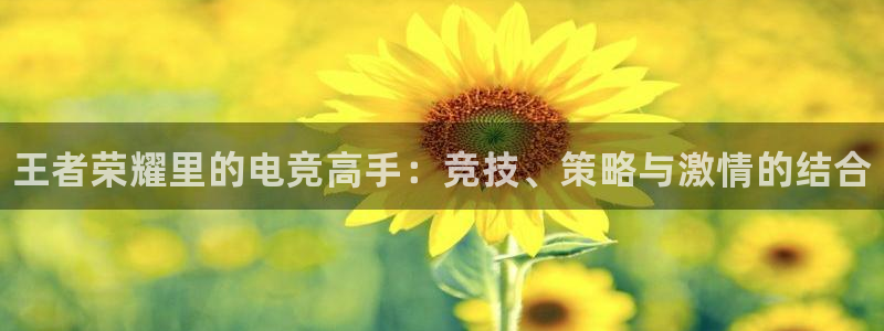 乐竞电竞锁定金额：王者荣耀里的电竞高手：竞技、策略与激情的结合