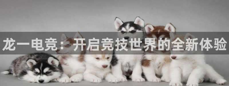 乐竞电竞实训中心收费标准：龙一电竞：开启竞技世界的全新体验