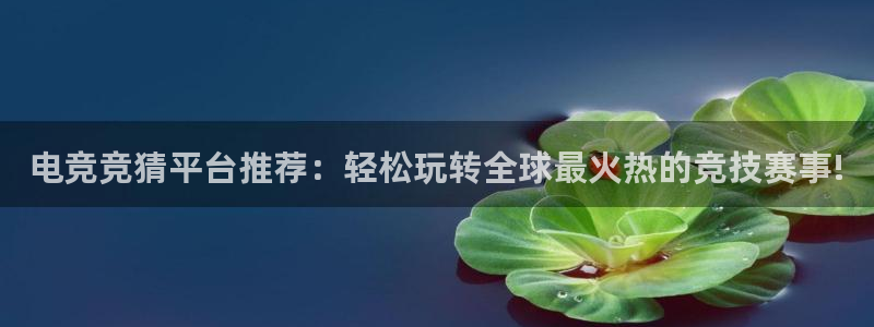 乐竞电竞官网入口：电竞竞猜平台推荐：轻松玩转全球最火热的竞技赛事!