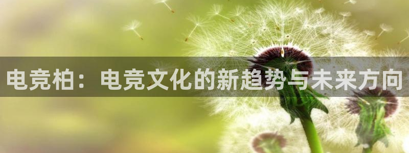 乐竞电竞实训中心收费标准：电竞柏：电竞文化的新趋势与未来方向