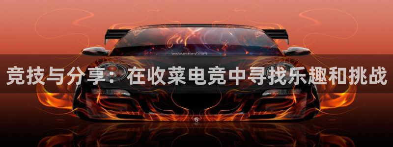 乐竞电竞青训基地怎么样
