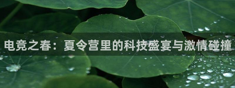乐竞电竞平台：电竞之春：夏令营里的科技盛宴与激情碰撞