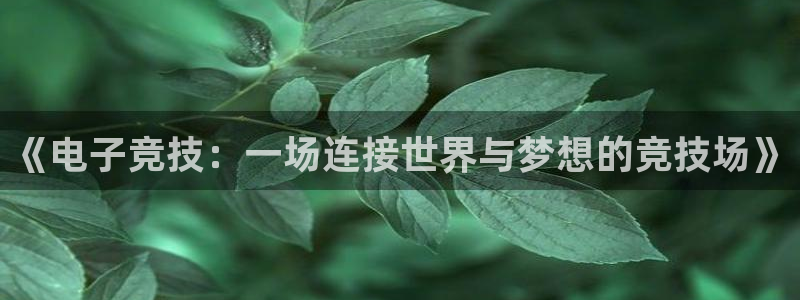 乐竞电竞app：《电子竞技：一场连接世界与梦想的竞技场》