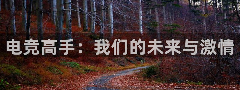 乐竞电竞竞猜：电竞高手：我们的未来与激情
