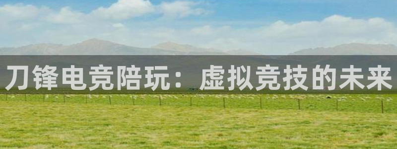 乐竞电竞：刀锋电竞陪玩：虚拟竞技的未来