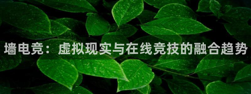 乐竞电竞实训中心收费标准：墙电竞：虚拟现实与在线竞技的融合趋势