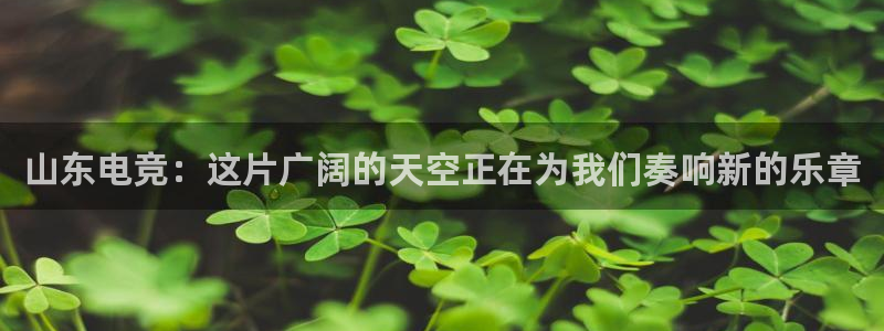 乐竞电竞
