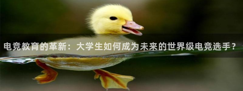 乐竞电竞平台