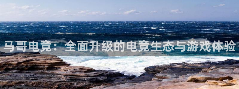 乐竞电竞平台
