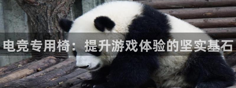 乐竞电竞