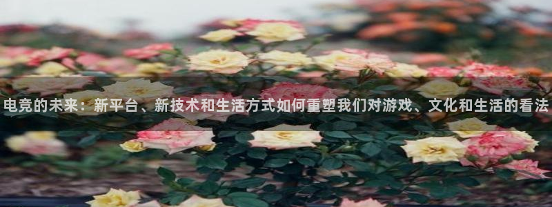乐竞电竞官网入口