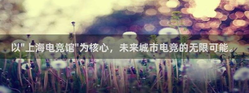 乐竞电竞官网
