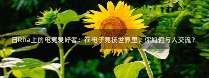 乐竞电竞锁定金额