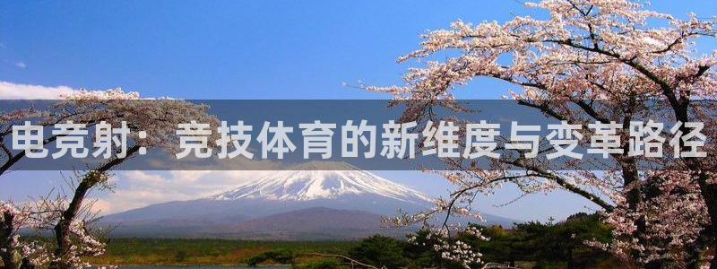 乐竞电竞体育官网
