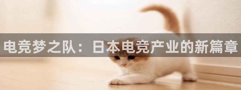 乐竞电竞官网入口