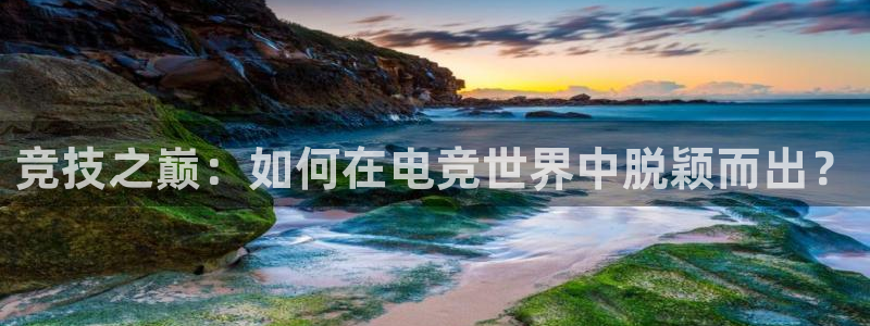 乐竞电竞青训基地