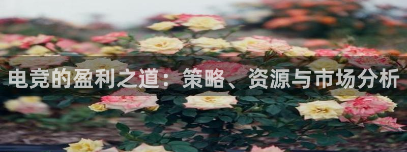 乐竞电竞青训基地怎么样：电竞的盈利之道：策略、资源与市场分析