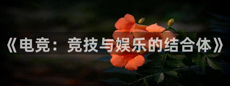 乐竞电竞官网首页：《电竞：竞技与娱乐的结合体》