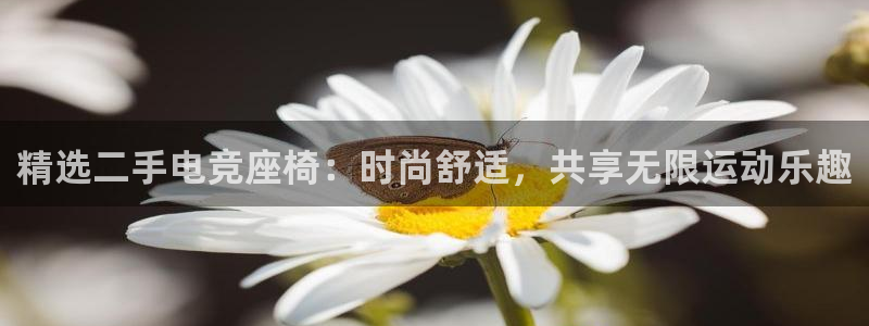 乐竞电竞学院怎么样：精选二手电竞座椅：时尚舒适，共享无限运动乐趣